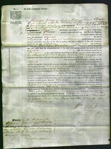 Court of Common Pleas - Sophia Larking-Original Ancestry