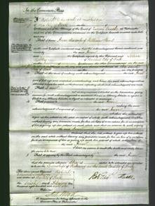Court of Common Pleas - Ann Wood-Original Ancestry