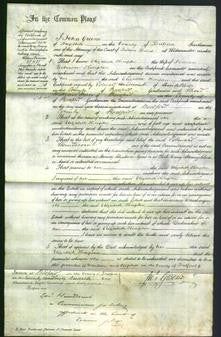 Court of Common Pleas - Elizabeth Kimpton-Original Ancestry