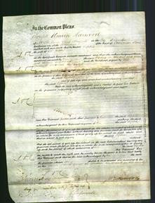 Court of Common Pleas - Sophia Heath-Original Ancestry