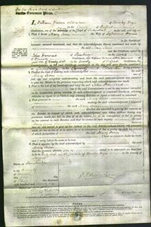 Court of Common Pleas - Mary Ann Harris-Original Ancestry