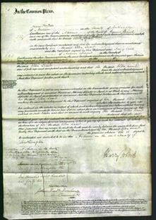 Court of Common Pleas - Ellen Lamb-Original Ancestry