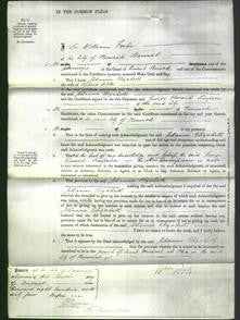 Court of Common Pleas - Johanne Elizabeth Wells-Original Ancestry