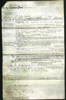 Court of Common Pleas - Ellen Dickinson-Original Ancestry