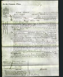 Court of Common Pleas - Anna Maria Pile-Original Ancestry