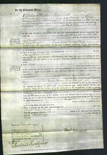 Court of Common Pleas - Olivia Jane Smith-Original Ancestry