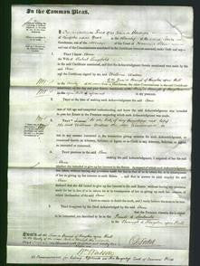 Court of Common Pleas - Ann Longfield-Original Ancestry