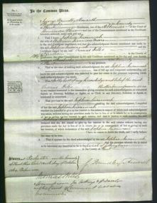 Court of Common Pleas - Sophia Susannah Meers-Original Ancestry