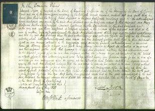 Court of Common Pleas - Ann Shepherd-Original Ancestry