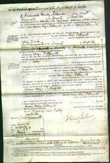 Court of Common Pleas - Anna Eliza Pettingill-Original Ancestry