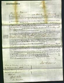 Court of Common Pleas - Sarah Curties-Original Ancestry