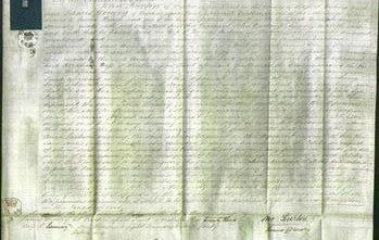 Court of Common Pleas - Anne Jackson-Original Ancestry