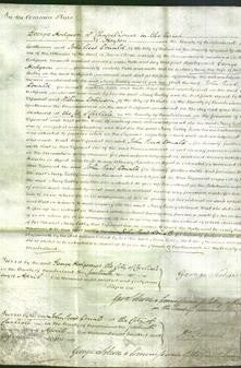 Court of Common Pleas - Mary Ladley-Original Ancestry