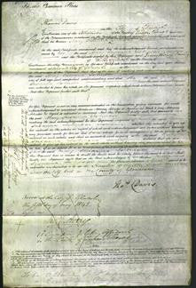 Court of Common Pleas - Mary Susanna Johnson-Original Ancestry