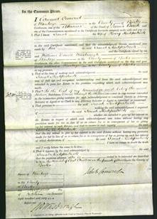 Court of Common Pleas - Sarah Kirkpatrick-Original Ancestry