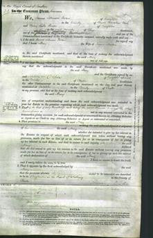 Court of Common Pleas - Mary Martin-Original Ancestry