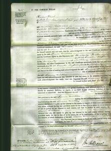 Court of Common Pleas - Louisa Wilkins-Original Ancestry