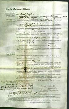 Court of Common Pleas - Elizabeth Fisher