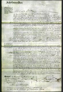 Court of Common Pleas - Margaret Barrow, Mary Martindale and Jane Clark-Original Ancestry