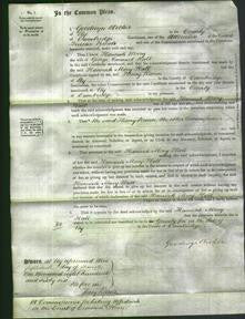 Court of Common Pleas - Hannah Mary Hall-Original Ancestry