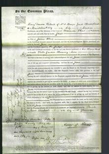 Court of Common Pleas - Jane Allen-Original Ancestry