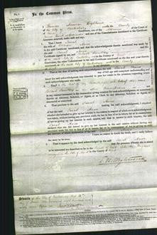 Court of Common Pleas - Sarah Amos-Original Ancestry