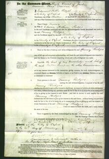 Court of Common Pleas - Fanny Hedges-Original Ancestry