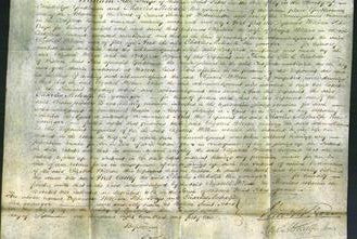 Court of Common Pleas - Elizabeth Willesee-Original Ancestry