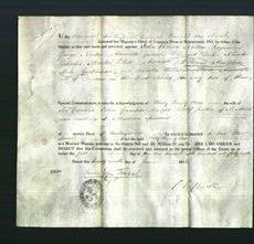 Appointment of Special Commissioners - John Bruce Norton, George Norton, Clement Dale, Charles Martin Teed, William Ambrose Serle and Charles William Blunt-Original Ancestry