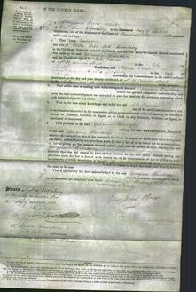 Court of Common Pleas - Georgina Bunbury-Original Ancestry