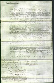 Court of Common Pleas - Hannah Harrison-Original Ancestry