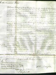 Court of Common Pleas - Caroline Crompton and Caroline Hutton-Original Ancestry