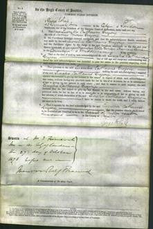 Court of Common Pleas - Lucretia Catherine Gregory-Original Ancestry