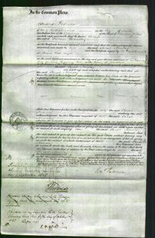 Court of Common Pleas - Sarah Munday-Original Ancestry