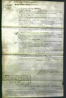 Court of Common Pleas - Elizabeth Preece-Original Ancestry