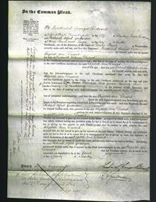 Court of Common Pleas - Elizabeth Ann Durant-Original Ancestry