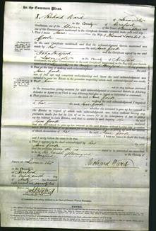 Court of Common Pleas - Jane Goode-Original Ancestry