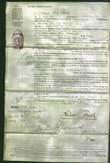 Court of Common Pleas - Right Honorable Julia Countess of Ducie-Original Ancestry