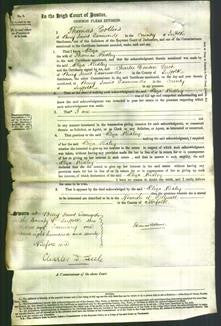 Court of Common Pleas - Eliza Ridley-Original Ancestry