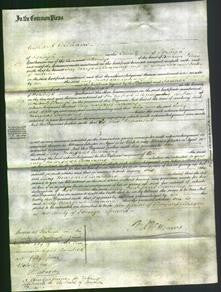 Court of Common Pleas - Lucy Margaret Cumming-Original Ancestry