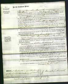 Court of Common Pleas - Sophia Susannah Meers-Original Ancestry