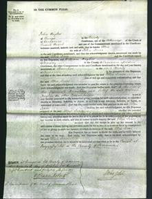 Court of Common Pleas - Ellin Jones-Original Ancestry