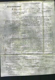 Court of Common Pleas - Alice Shaigler-Original Ancestry