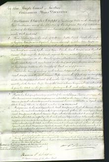 Court of Common Pleas - Agnes Cronk, Sarah Mayer and Elizabeth Emma Kiefer-Original Ancestry