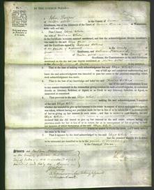 Court of Common Pleas - Eliza White-Original Ancestry