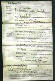 Court of Common Pleas - Ann Savage-Original Ancestry