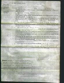 Court of Common Pleas - Mary Ann Brown-Original Ancestry