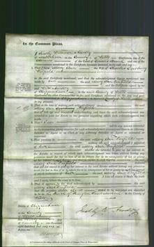 Court of Common Pleas - Mary Ann Winfield-Original Ancestry