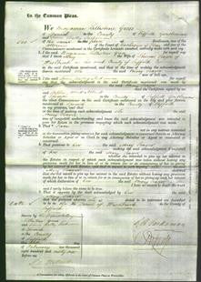 Court of Common Pleas - Mary Seager-Original Ancestry