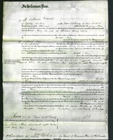 Court of Common Pleas - Mary Davis-Original Ancestry
